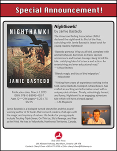 Nighthawk Flyer