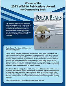 Polar Bears Flyer