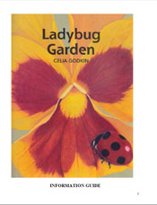 Ladybug Garden